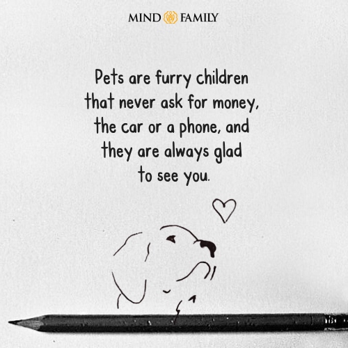 Pets are furry children