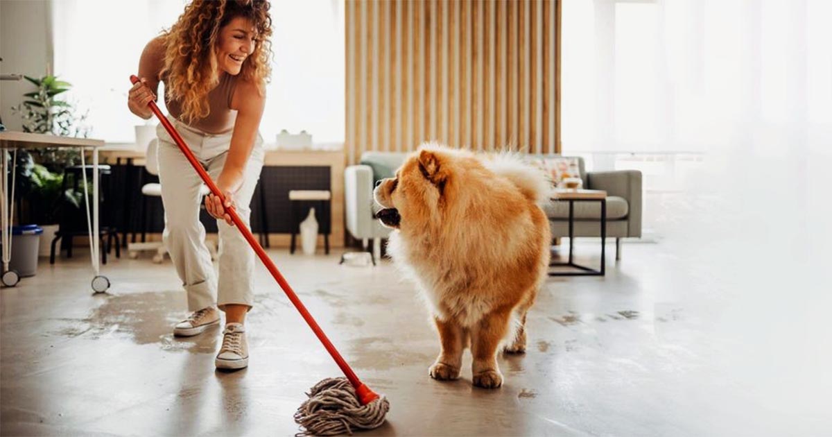 house cleaning tips for pet owners