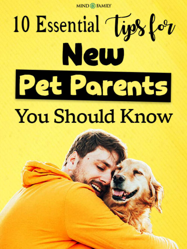 Ten Helpful Tips for Pet Parents A Step-by-Step Guide