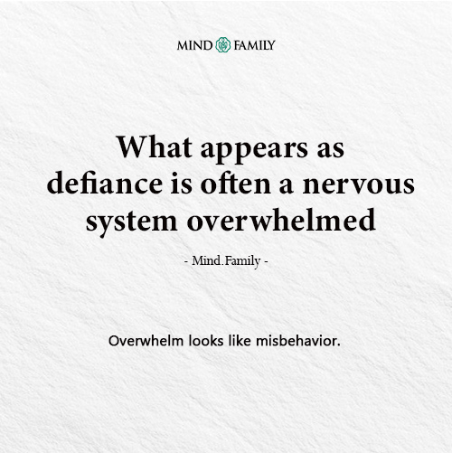 Overstimulation Often Looks Like Misbehavior In Children